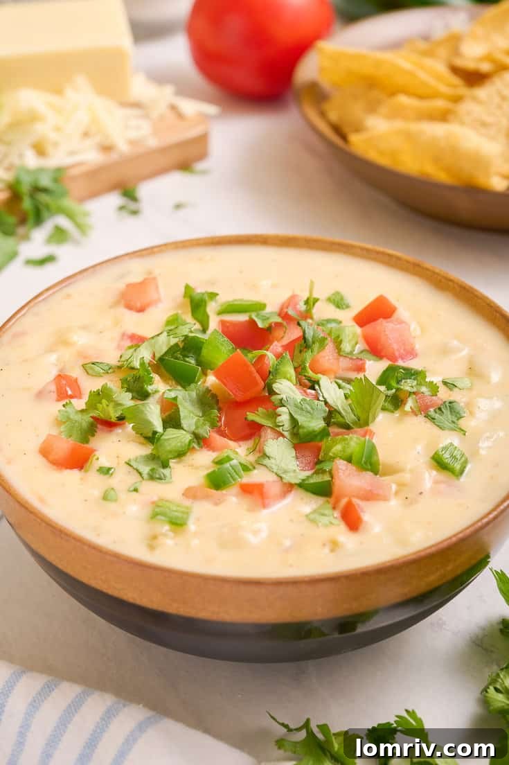 Homemade queso dip 