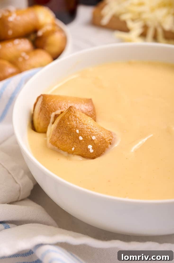 Beer cheddar cheese dip