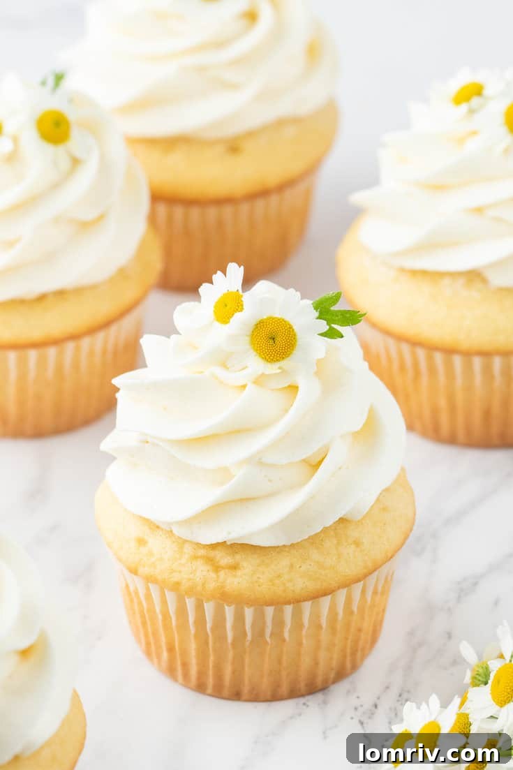 Chamomile cupcakes