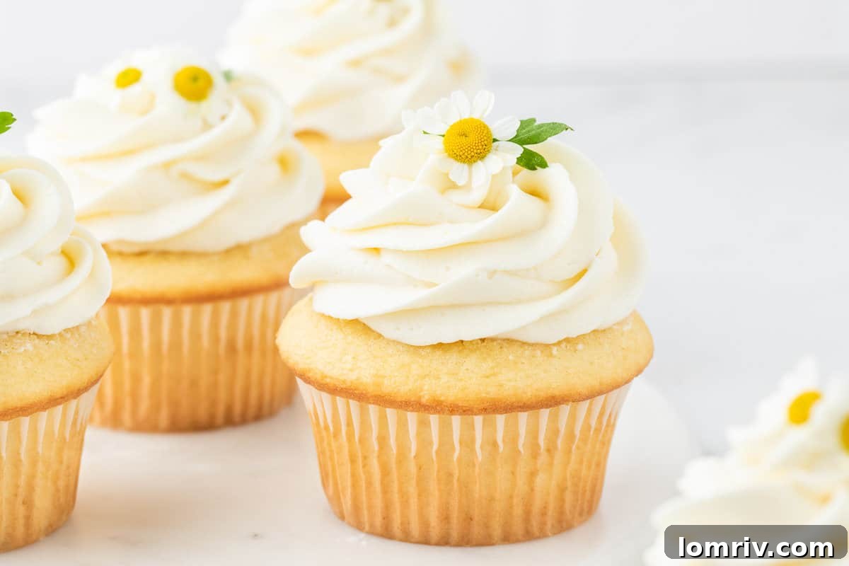 Chamomile cupcakes