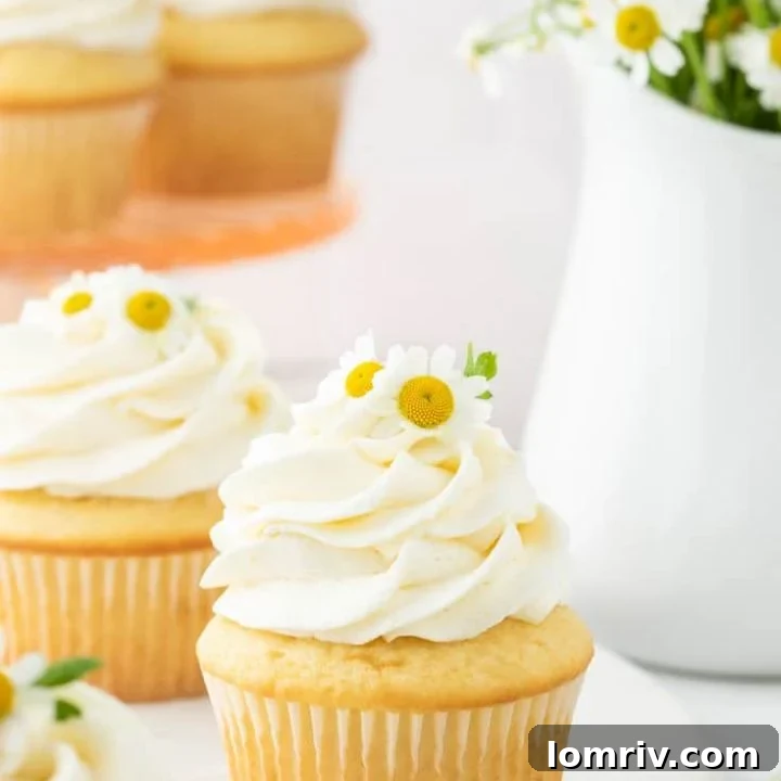 Chamomile cupcakes in front of a vase.