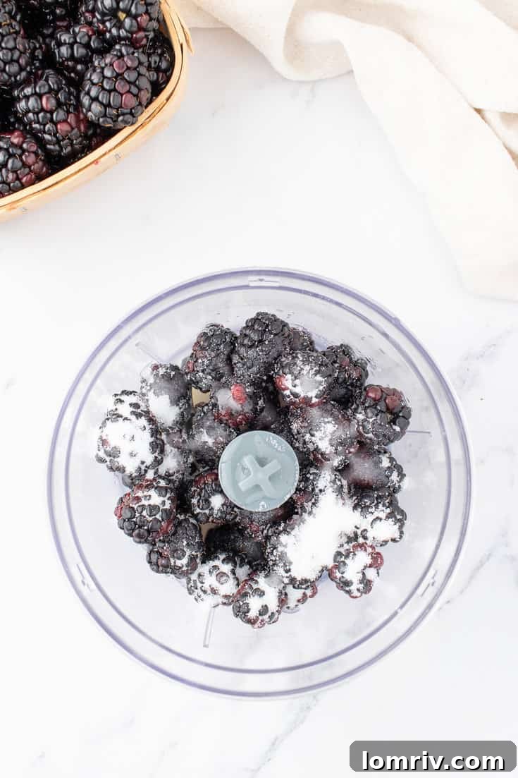 Fresh blackberries, sugar, and lemon juice being pureed in a blender.