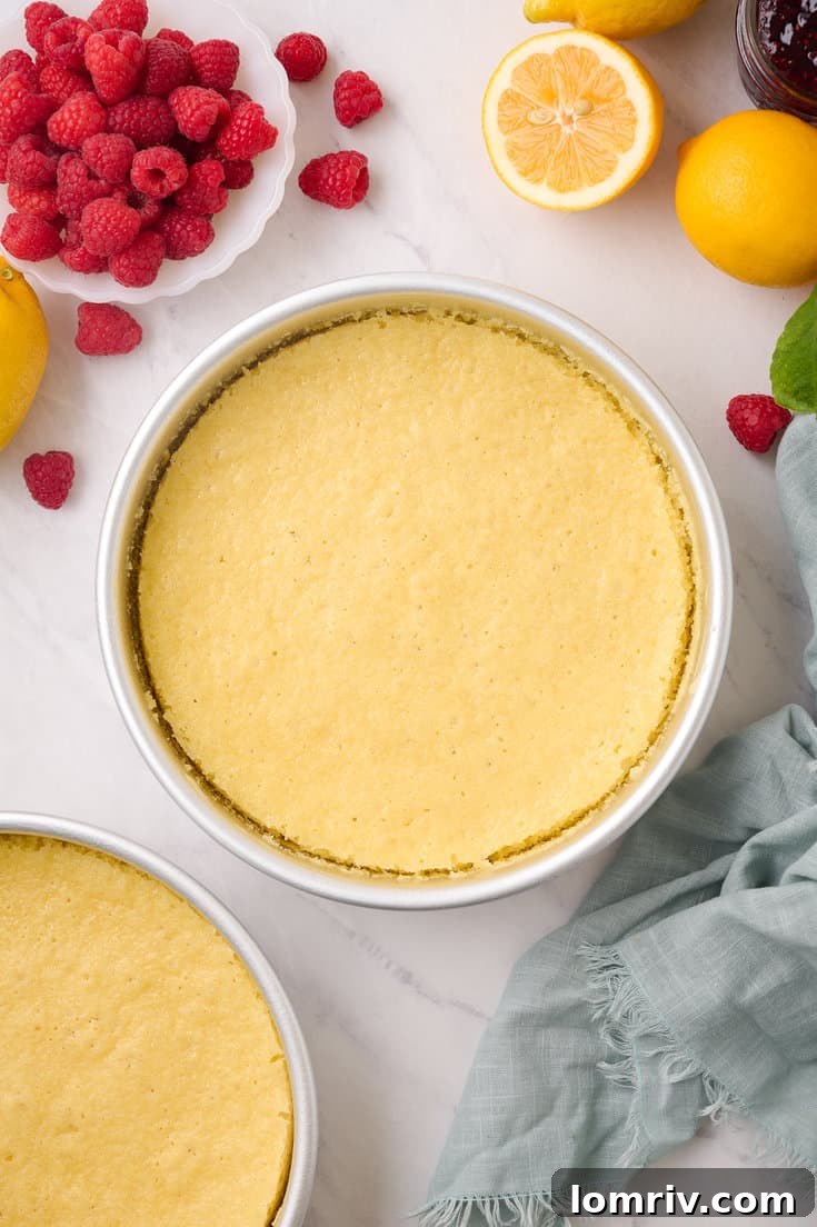 Three perfectly baked lemon cake layers, golden brown on top and beautifully risen, cooling on a wire rack after being removed from the oven.