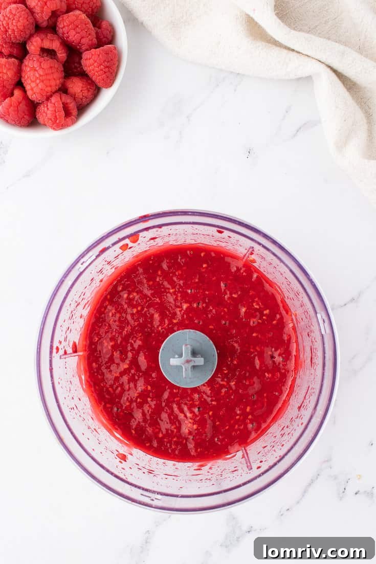 A bowl filled with freshly made, smooth raspberry puree