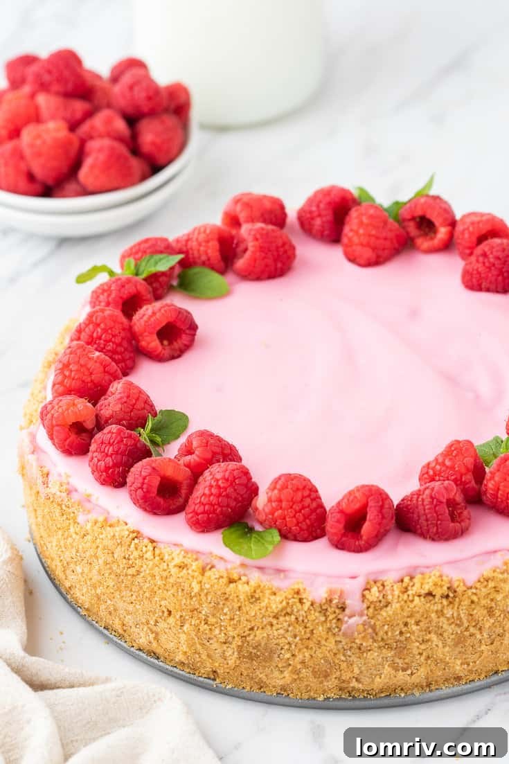 Finished Raspberry Cheesecake with a beautiful garnish of fresh raspberries and mint