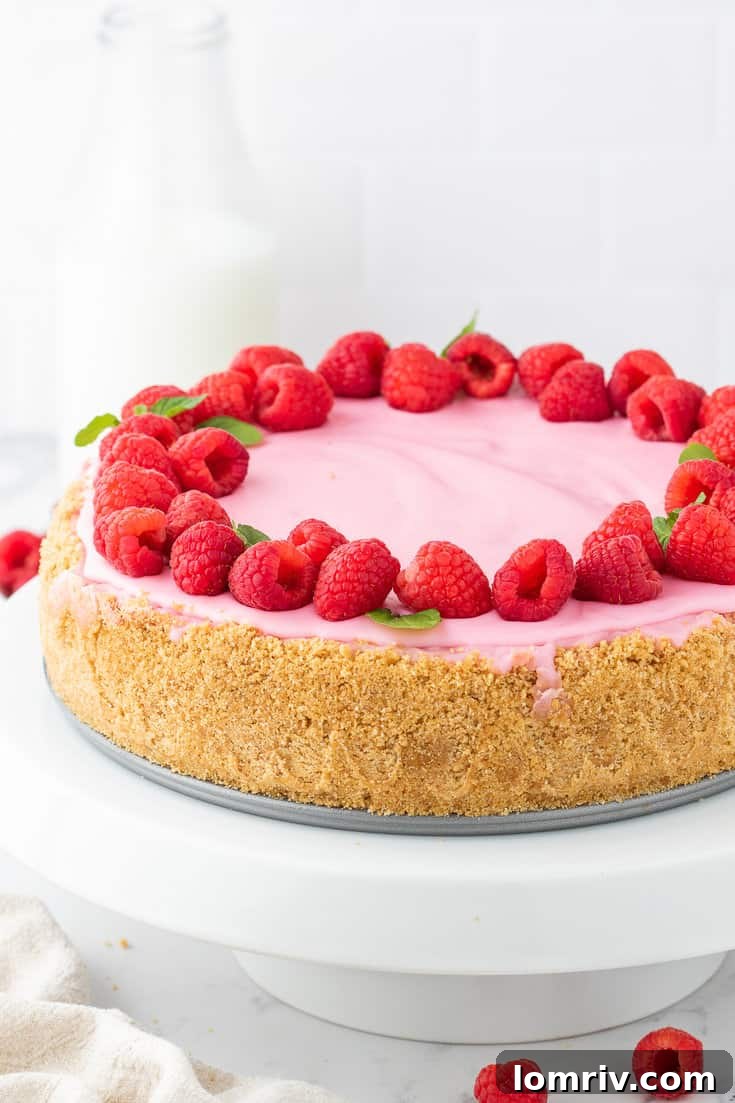 Two perfect slices of Raspberry Cheesecake on a plate, garnished with fresh berries