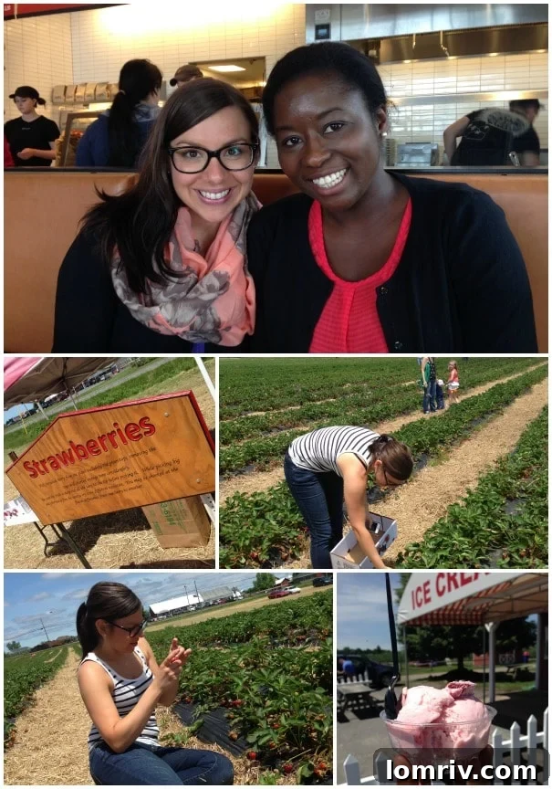 PicMonkey Collage