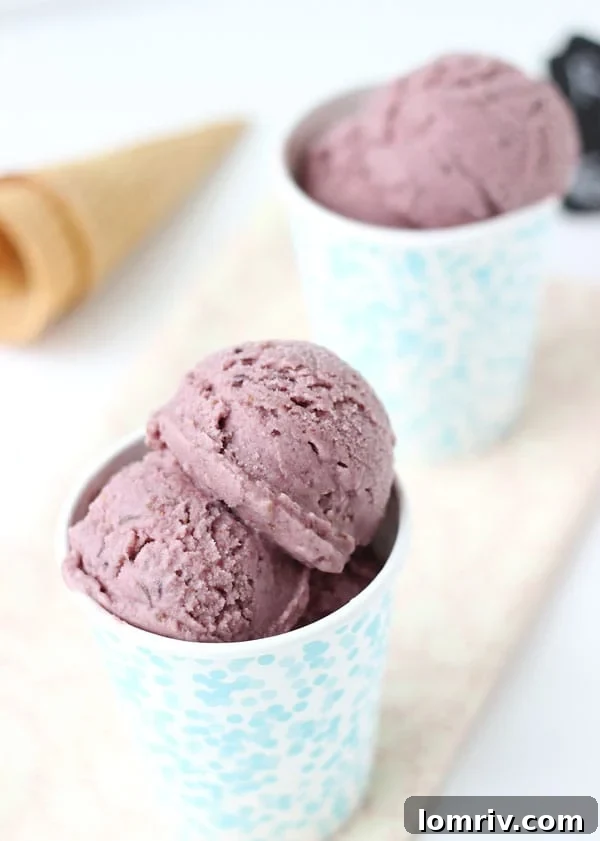 Delicious Roasted Fig & Ginger Ice Cream in a stylish bowl, ready to be enjoyed