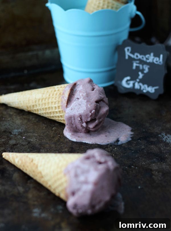 Close-up photo of creamy Roasted Fig & Ginger Ice Cream with a perfect scoop