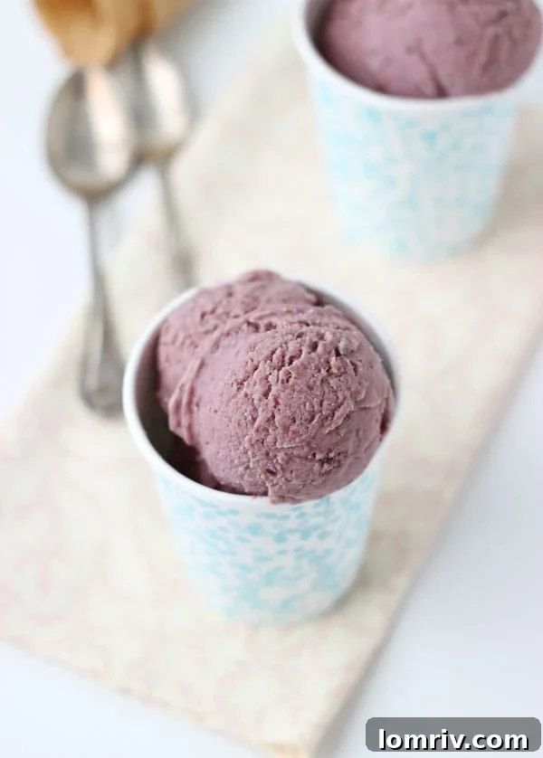 Homemade Roasted Fig & Ginger Ice Cream artfully arranged in a bowl with fresh fig slices