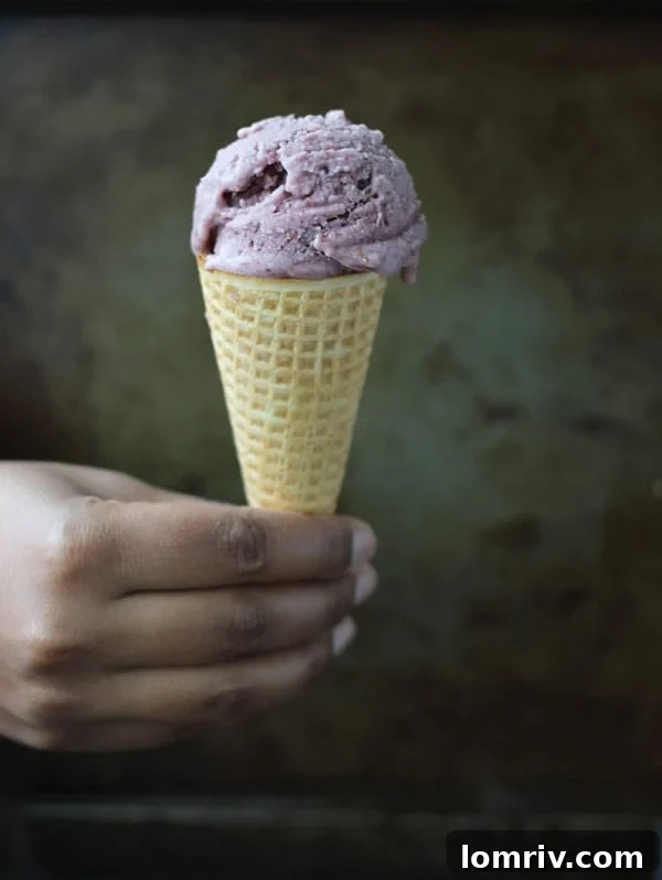 A refreshing serving of Roasted Fig & Ginger Ice Cream in an elegant glass bowl