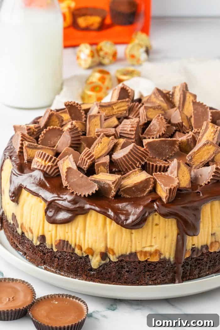 Indulgent Reese's Peanut Butter Cheesecake with a rich brownie crust and creamy peanut butter filling, topped with chocolate ganache and whole Reese's Peanut Butter Cups.