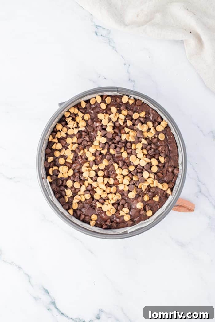 A close-up of the perfectly baked brownie crust, now cooled and topped with melted chocolate and peanut butter chips, forming a delicious base.