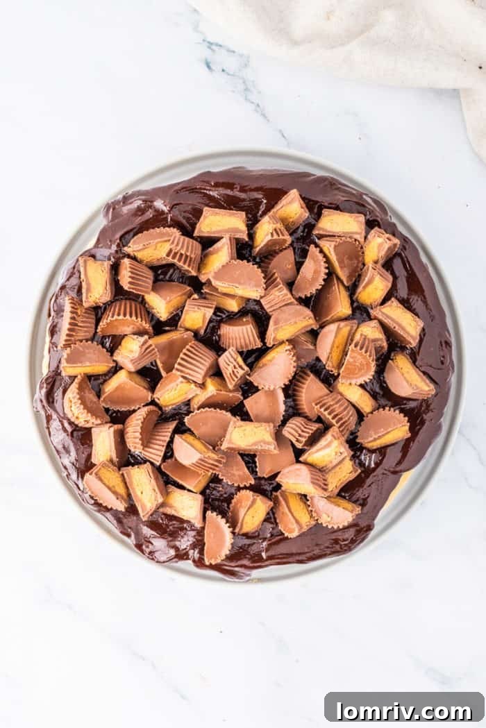 The fully assembled Reese's Peanut Butter Cheesecake, adorned with generous amounts of chopped Reese's Peanut Butter Cups over the chocolate ganache, ready to serve.