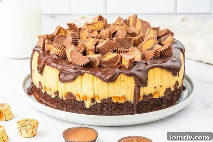 A close-up of a perfectly sliced Reese's Peanut Butter Cheesecake, revealing its distinct layers of brownie crust, peanut butter cheesecake, and chocolate ganache topping, ready to be enjoyed.