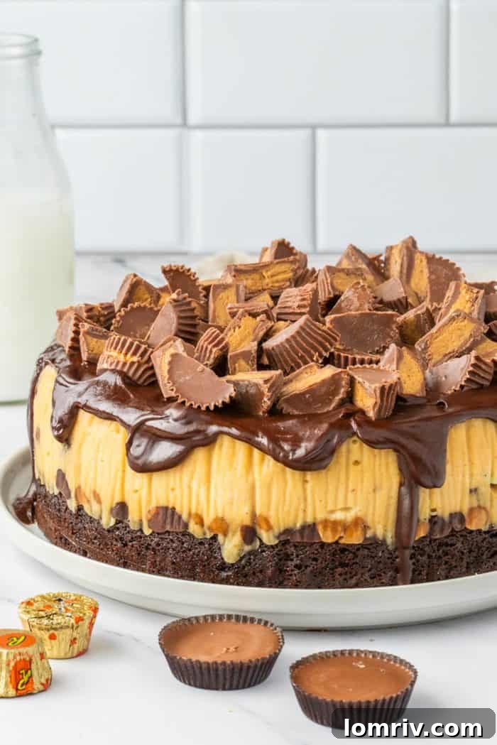 A glorious whole Reese's Peanut Butter Cheesecake, garnished with a bounty of Reese's cups and rich ganache, presented on a minimalist white background.