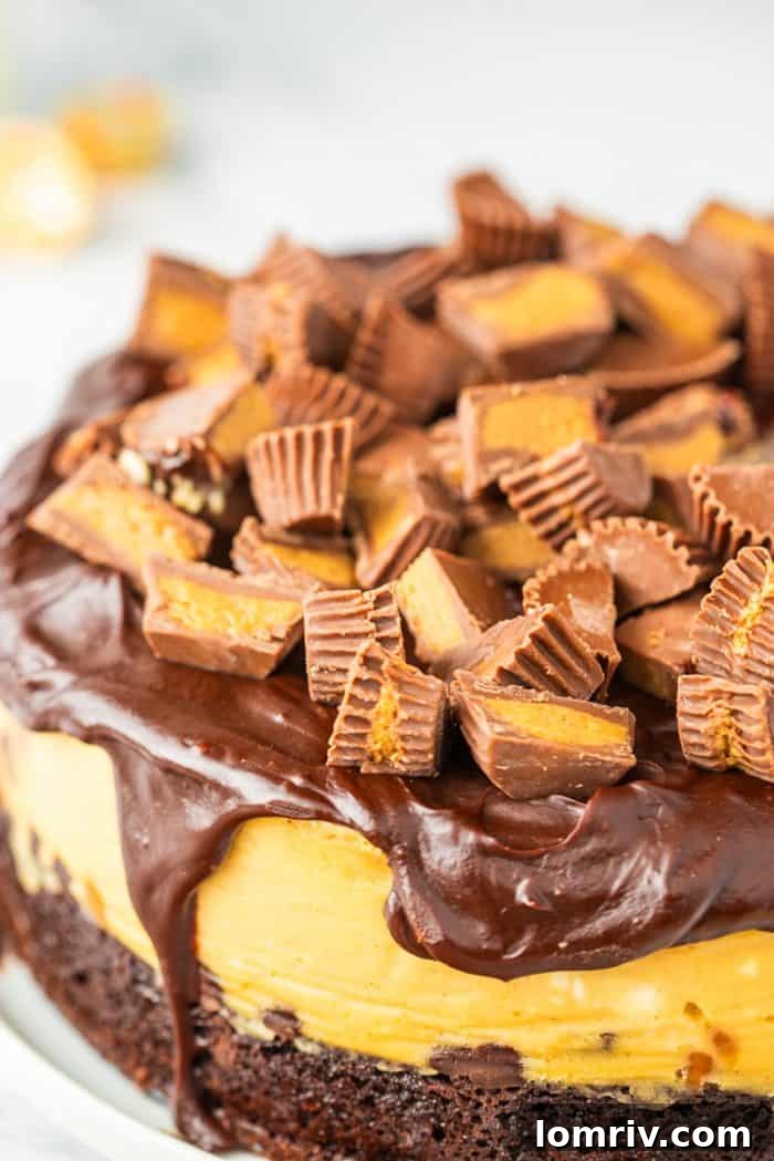 A beautifully presented whole Reese's Peanut Butter Cheesecake on a minimalist white background, ready for serving and enjoyment.