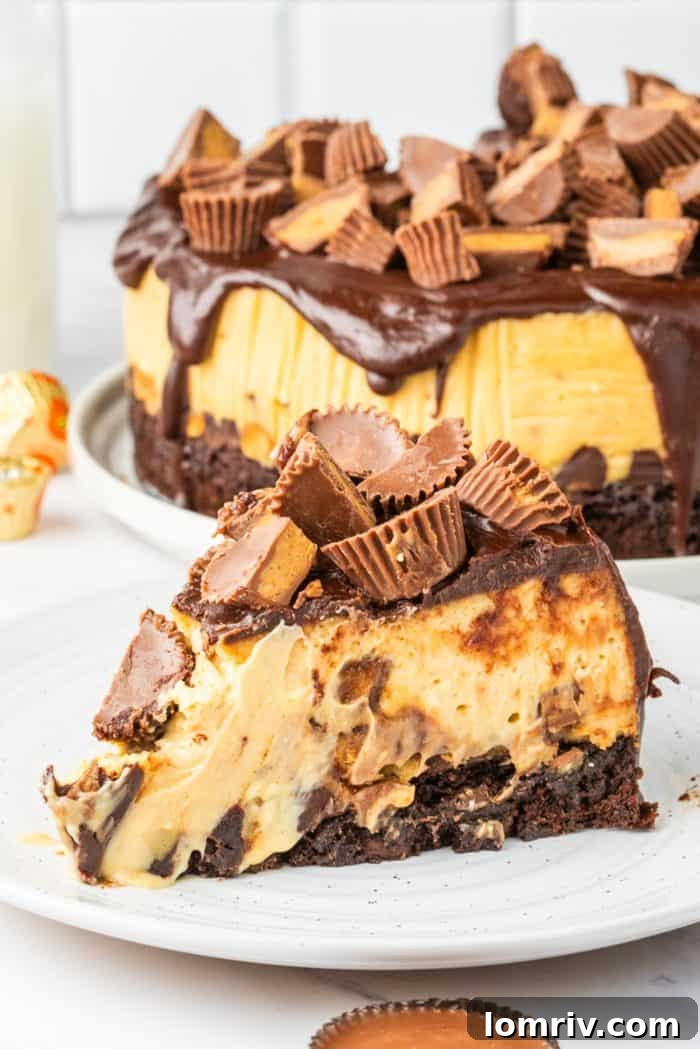 A pristine, artfully sliced piece of Reese's Peanut Butter Cheesecake on a simple white plate, inviting dessert enthusiasts to indulge.