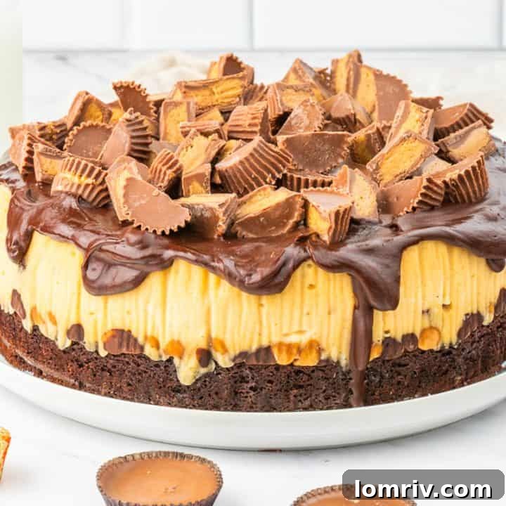 Reese's Peanut Butter Cheesecake on a plate with a white background.