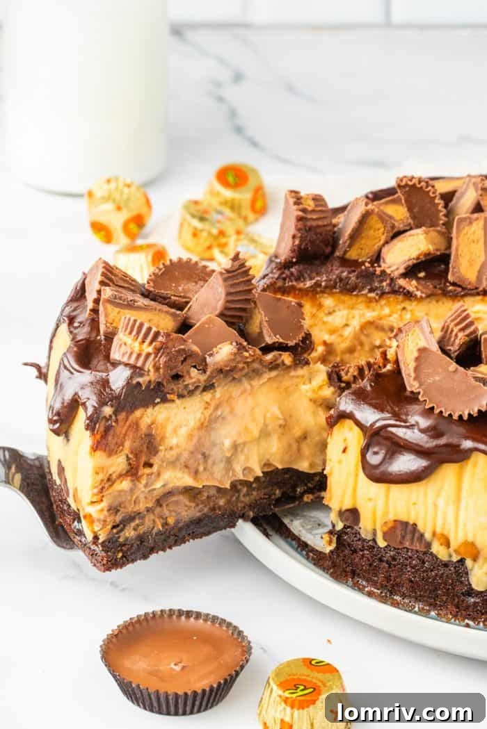 A slice of Reese's Peanut Butter Cheesecake being carefully removed from the whole cake, highlighting its impressive height and layers, including the brownie base and generous toppings.