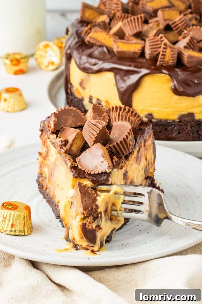 A pristine slice of Reese's Peanut Butter Cheesecake presented on a white plate, showcasing its perfect cut, the luscious layers, and the artful arrangement of Reese's cups on top.