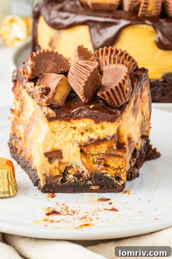 Another mouth-watering view of a Reese's Peanut Butter Cheesecake slice on a white plate, emphasizing the vibrant colors and textures of its components.
