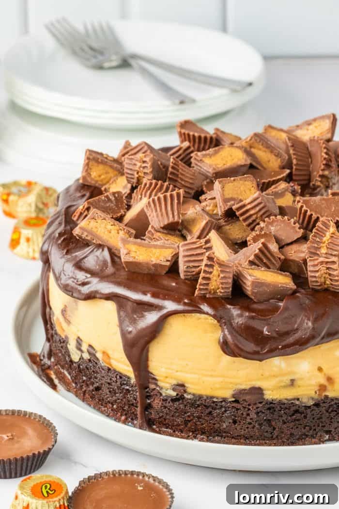 A whole Reese's Peanut Butter Cheesecake, beautifully decorated with ganache and chopped Reese's cups, sitting on a white background, inviting a delicious tasting.
