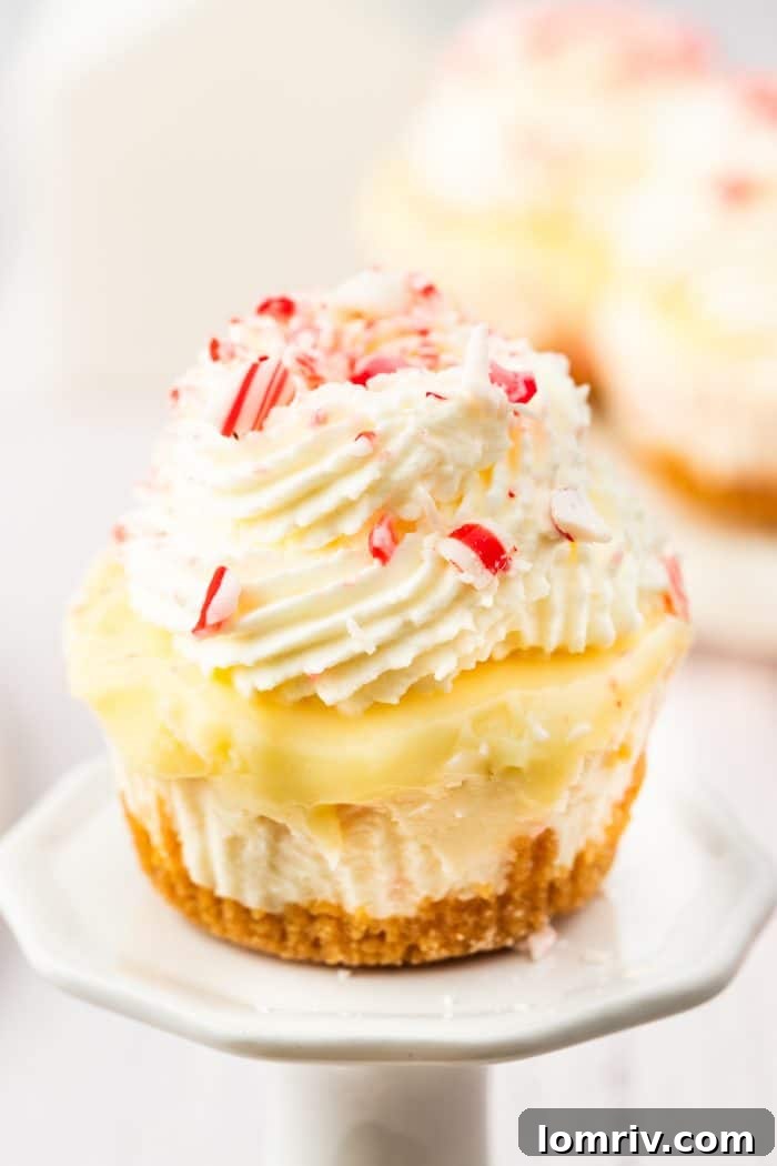 A tantalizing close-up view of a perfectly crafted mini peppermint cheesecake, adorned with delicate frosting and a sprinkle of crushed candy cane, ready to be enjoyed.