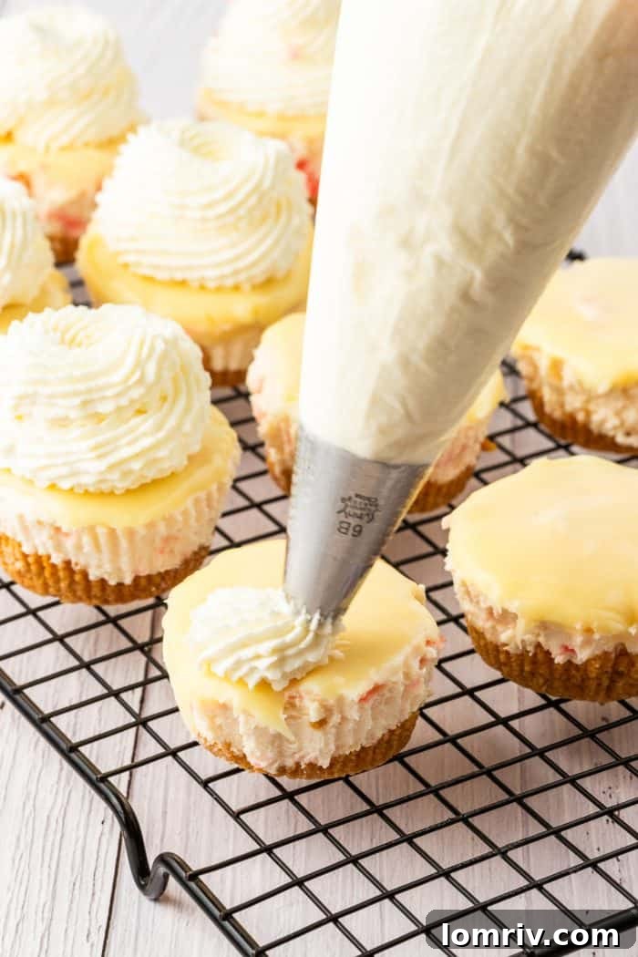 A pastry bag expertly pipes a delicate swirl of whipped cream onto a mini cheesecake, creating a beautiful and festive topping.
