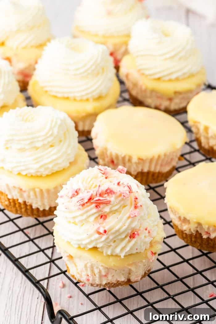 A single mini cheesecake, perfectly frosted with whipped cream and sprinkled with crushed candy canes, stands complete beside several unfrosted ones awaiting their festive adornment.