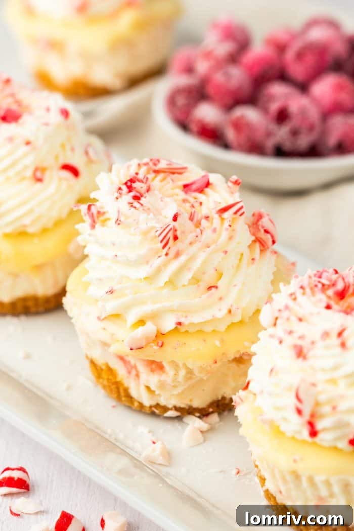Three beautifully presented mini holiday cheesecakes, with white and red accents, arranged elegantly on a pristine white plate.
