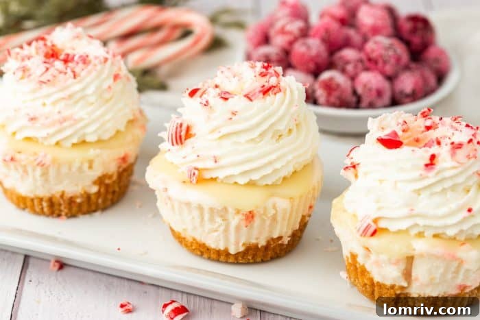 A stylish tray holding three beautifully finished mini white chocolate peppermint cheesecakes, each a perfect serving of holiday cheer.