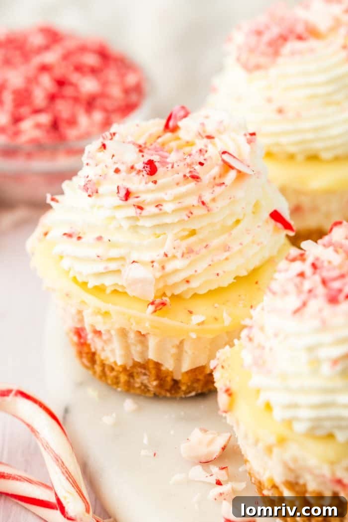 Several festive mini peppermint cheesecakes arranged on a plate, with scattered candy canes in the soft focus background, creating a cozy holiday ambiance.