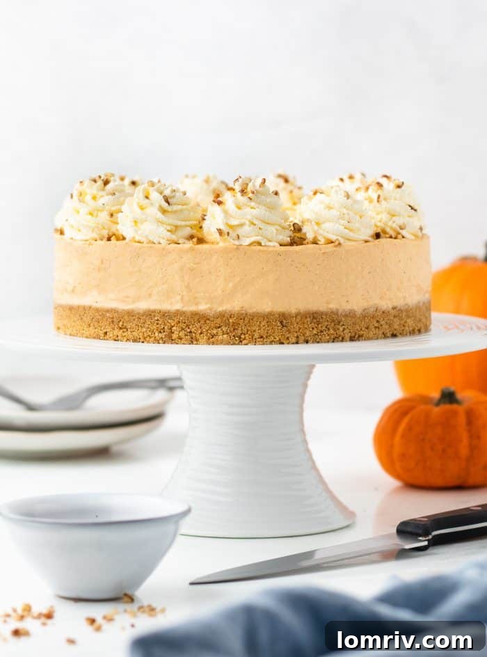 A beautifully garnished no bake pumpkin cheesecake on a white cake stand, surrounded by elegant fall decorations like small pumpkins and autumn leaves.