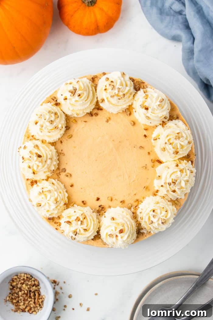 A stunning overhead shot of the set no bake pumpkin cheesecake, artfully garnished with elegant swirls of piped whipped cream, inviting immediate indulgence.
