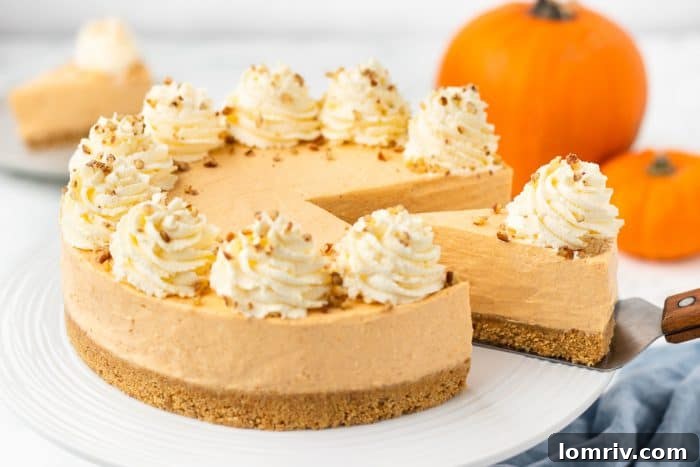A tantalizing image capturing a slice of the no bake pumpkin cheesecake being carefully removed from the whole cake, promising a delightful treat.