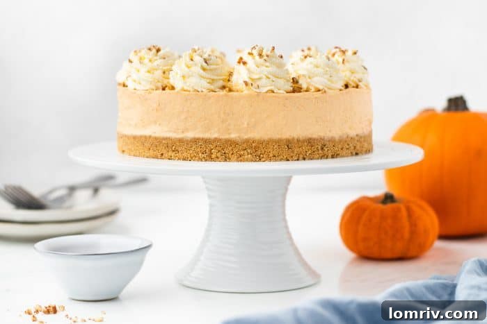 A visually appealing shot of the no bake pumpkin cheesecake on a white cake stand, surrounded by festive fall decorations, creating a cozy and inviting atmosphere.