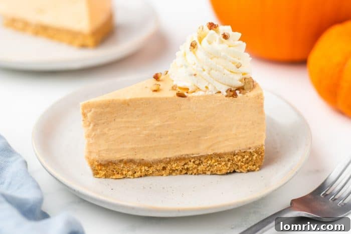 A vibrant slice of pumpkin cheesecake presented on a plate, with an artful background of pumpkins, beautifully capturing the essence of autumn.