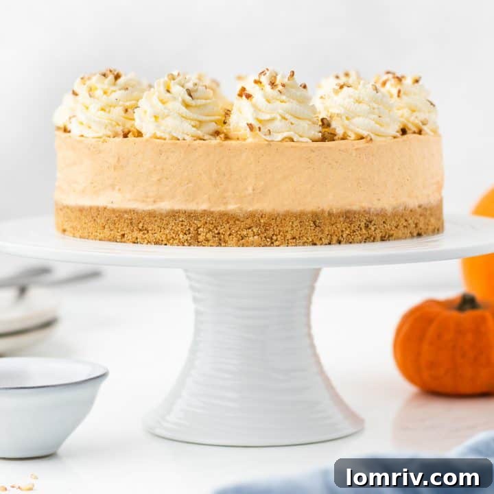 A no bake pumpkin cheesecake on a white cake stand with fall decorations.