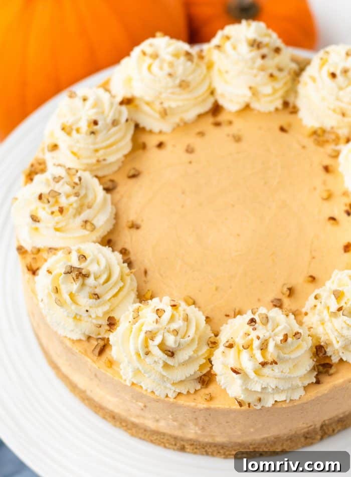 An inviting overhead view of the no bake pumpkin cheesecake, elegantly garnished with swirls of whipped cream and a sprinkle of cinnamon, ready to be served.