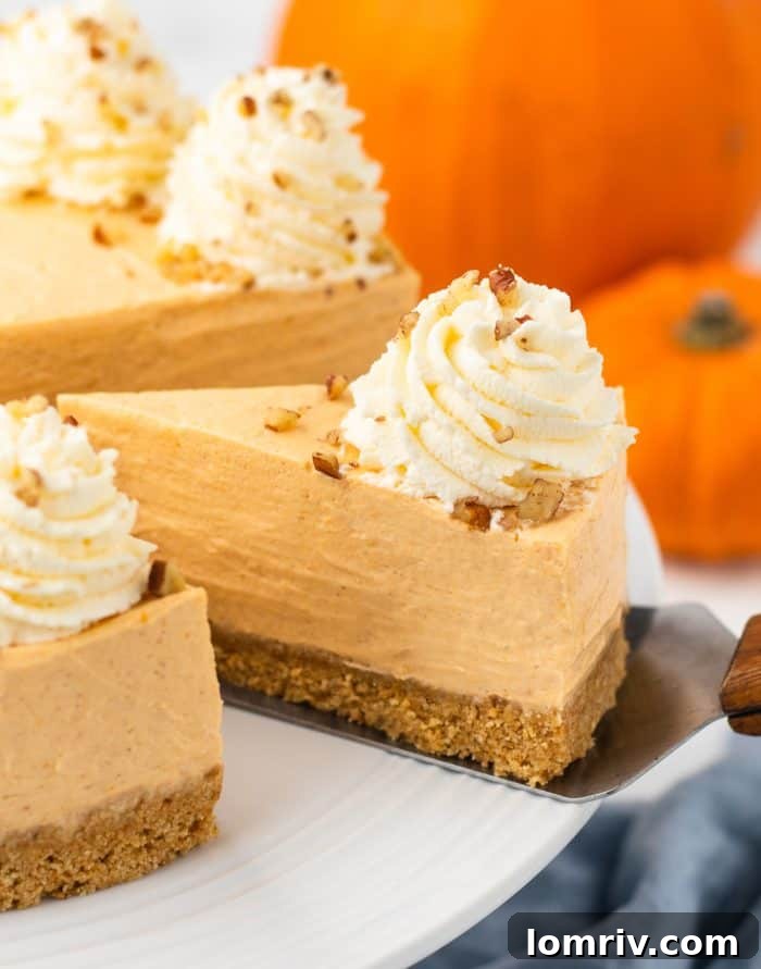 A pristine slice of the no bake pumpkin cheesecake presented on a delicate white cake stand, highlighting its creamy texture and perfect crust.