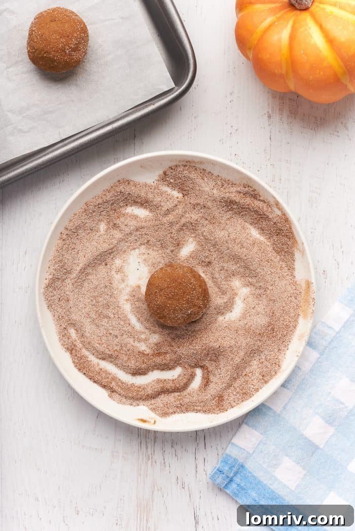 A shallow dish with sugar and cinnamon with a raw cookie dough ball.
