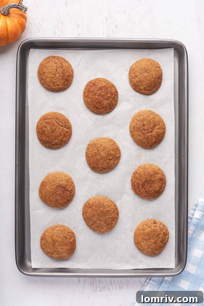 A baking sheet with parchment paper with baked snickerdoodle cookies.