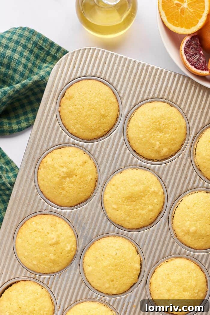 A batch of freshly baked cupcakes, golden brown and risen, cooling in their muffin pan, their delicious aroma filling the kitchen.