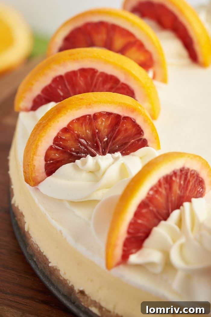 The finished blood orange cheesecake, elegantly garnished with a ring of blood orange slices.