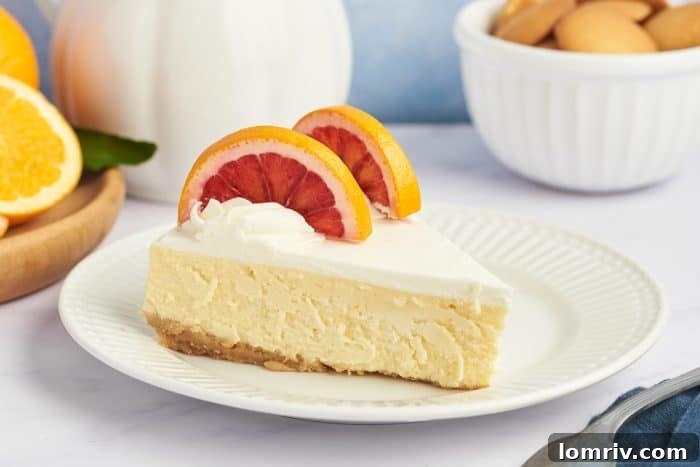A solitary slice of blood orange cheesecake on a white plate, highlighting its elegant simplicity.