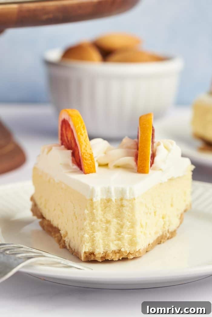 A close-up of a slice of winter citrus cheesecake with a spoonful removed, revealing the soft, creamy interior.