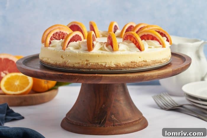 A beautiful blood orange cheesecake presented on a wooden cake plate against a blue background, ready to be served.