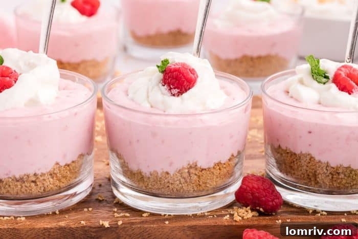Three glass serving dishes of raspberry mousse, garnished and ready, with spoons inserted.