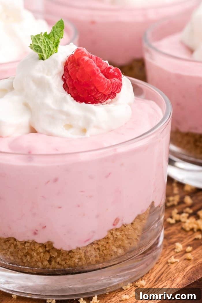 A close-up shot of raspberry mousse, beautifully garnished with a fresh raspberry, mint leaf, and whipped cream.